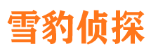 新青市婚姻出轨调查